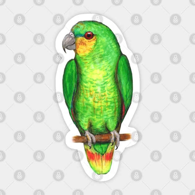 Orange winged amazon parrot Sticker by Bwiselizzy